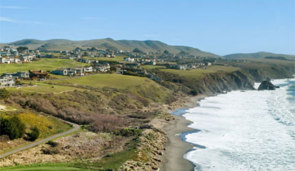 bodega harbour